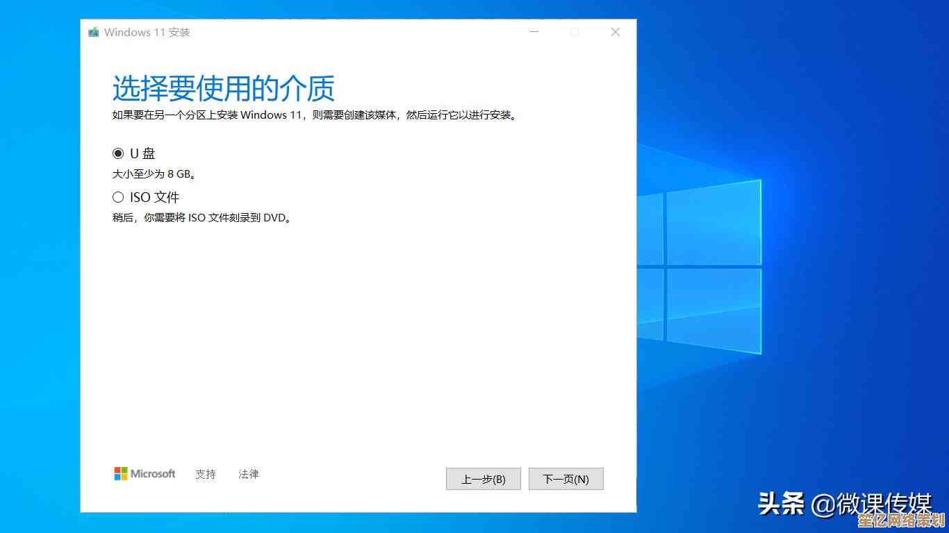 Windows 11 系统安装检测未通过的原因分析与解决方案