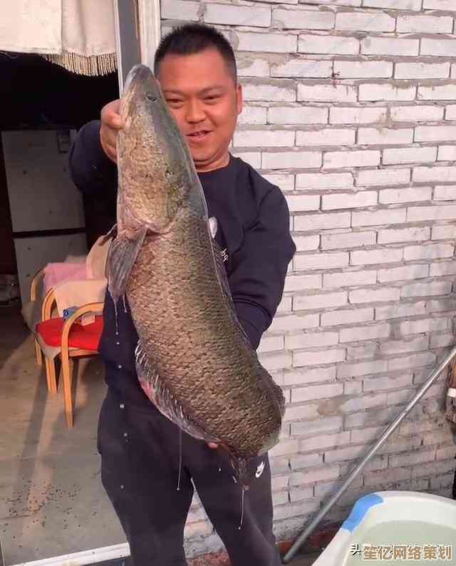 网络连接异常怎么办？小鱼分享电脑无网络问题解决技巧