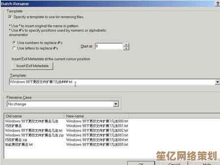 实用教程：如何在Windows 11中快速修改文件名及扩展名操作