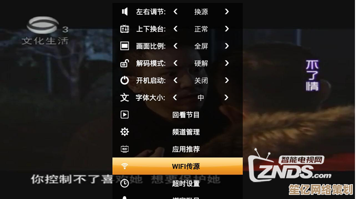 手把手教你如何正确加载与使用下载的字幕