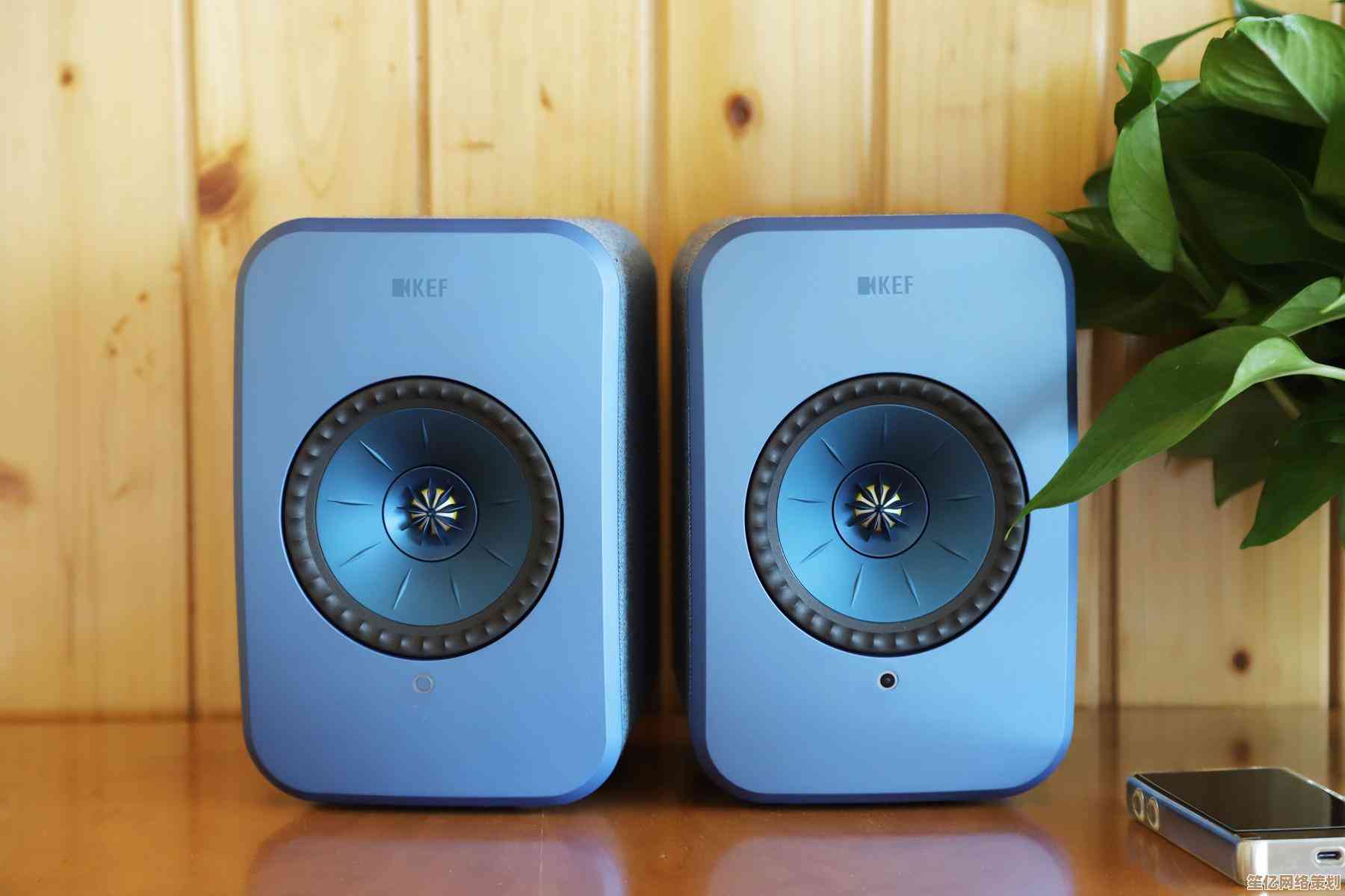 如何挑选合适的电脑音箱？最新选购攻略与高性价比型号推荐