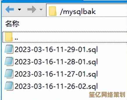 轻松备份恢复指南：一步步教你打开.bak文件的方法