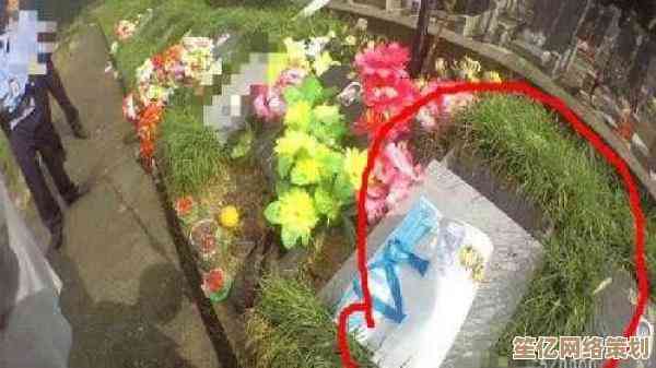 微信运动步数异常？快速排查并恢复计步功能的方法