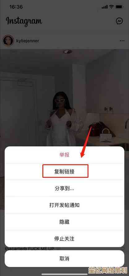 Instagram图片保存方法详解，小鱼手把手教您轻松存储心仪照片