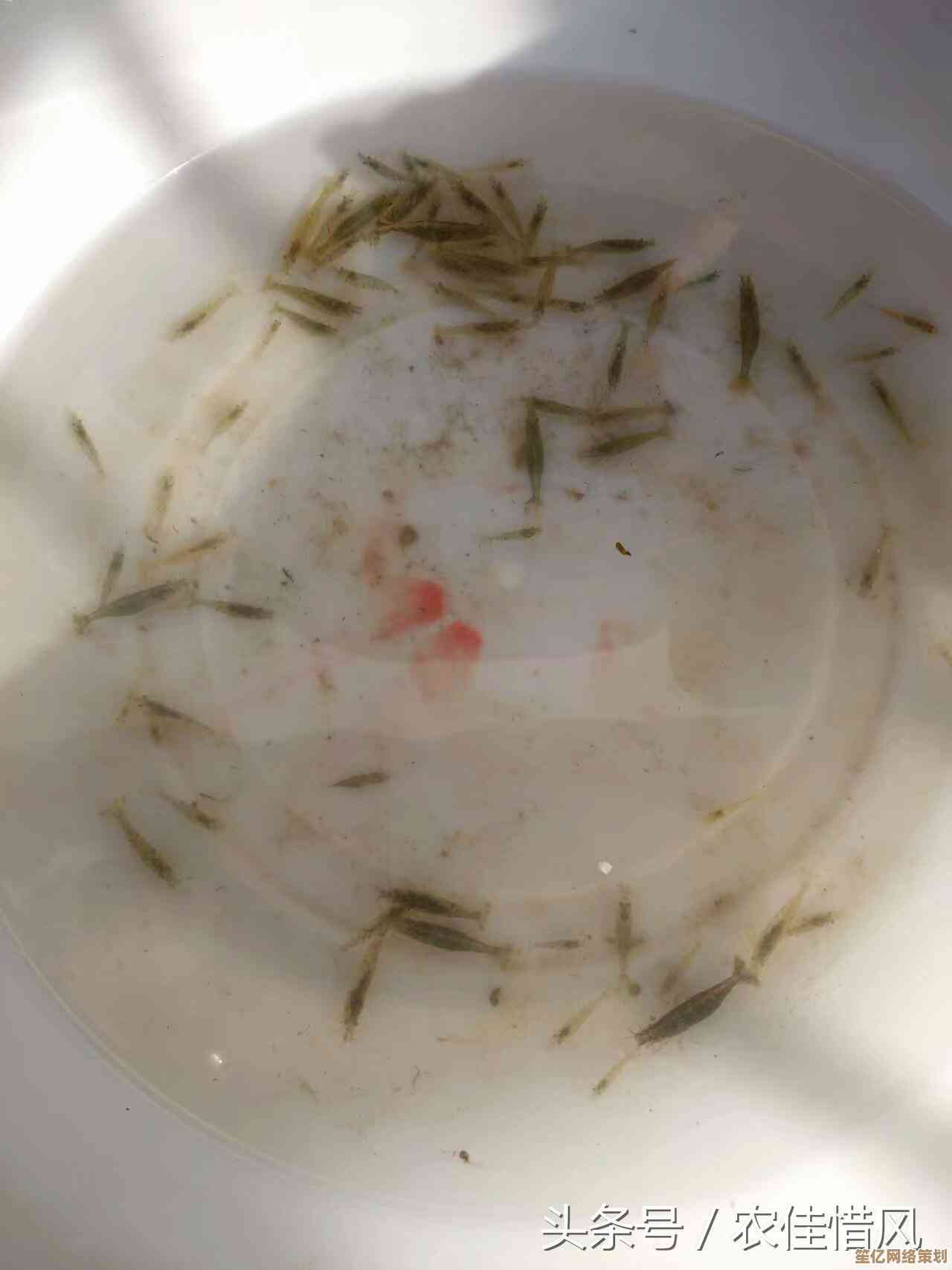 手机连接电脑仅充电？小鱼教您轻松解决连接问题