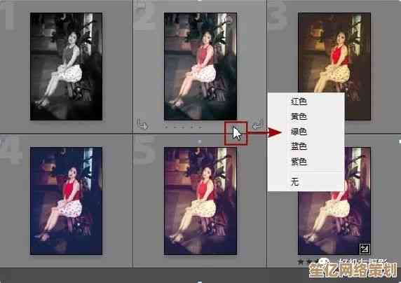 相册下载高效技巧：快速获取并妥善管理个人照片收藏