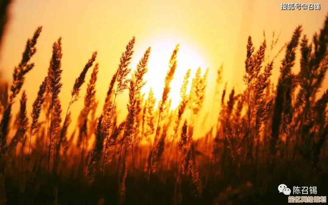 苹果桌面壁纸：自然之美与艺术创意的视觉盛宴