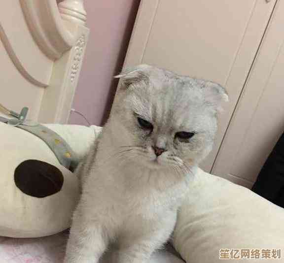 掌握苹果手机连接电脑方法，小鱼为您提供实用指南
