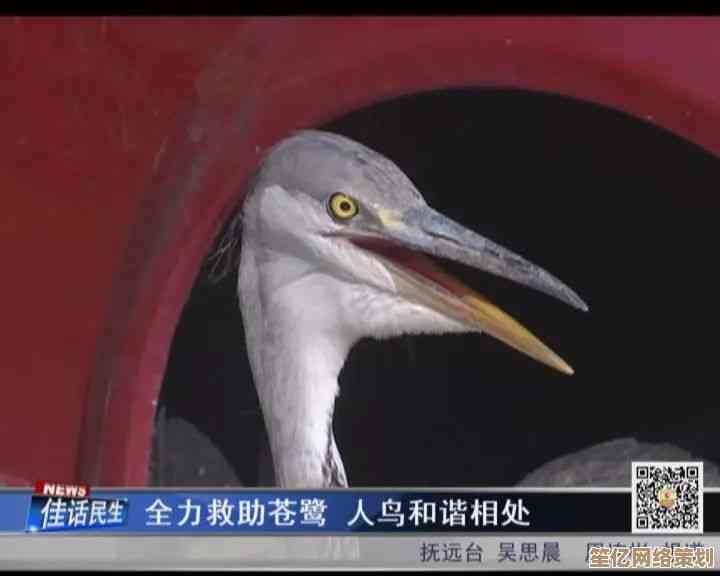 天使计划：守护濒危物种，共筑地球生态和谐未来