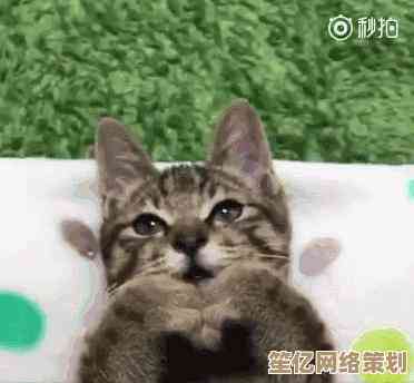 小鱼教您笔记本触摸板使用技巧，轻松掌握手势操作与功能设置