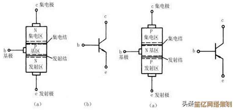 全面解读计算机系统构成：硬件基础与软件逻辑如何协同运行