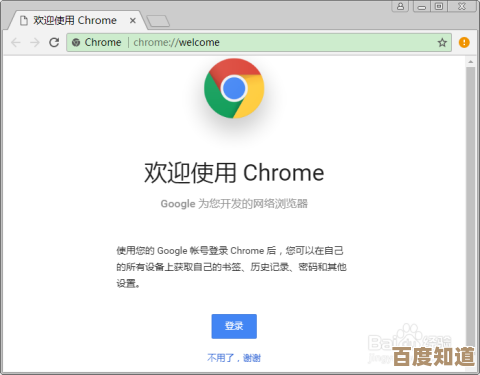 掌握Chrome浏览器2025版下载步骤与常见问题处理技巧