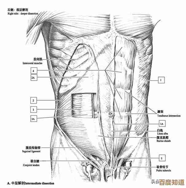 爱笔思画x涂色教程，手残也能上手，随性涂一涂就好