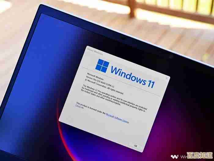 Win11系统网页安全警告频繁出现的根源及有效处理方案