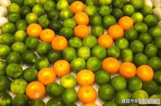 就我眼神好，竟然找齐18个砂糖橘了，找橘子通关小技巧给你看看嘛
