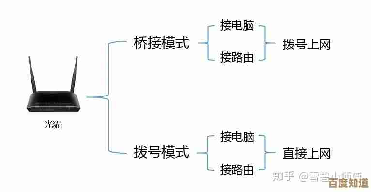 小鱼教您轻松辨别：路由器与猫的功能差异及正确使用方法