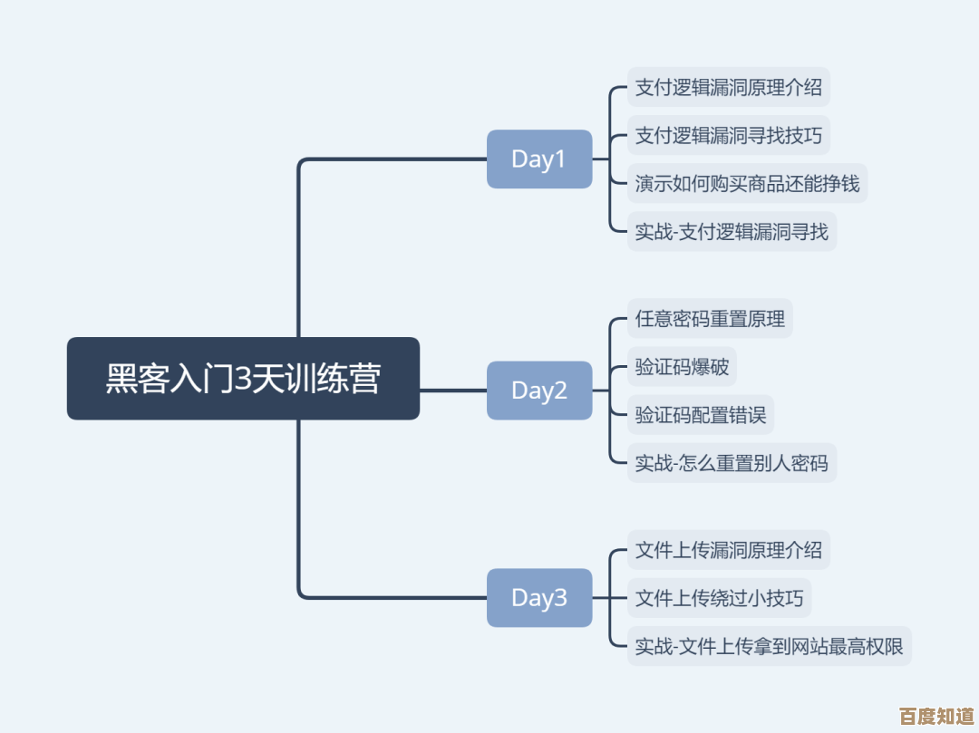 零基础也能学会：全面解析在线装系统的详细流程与注意事项
