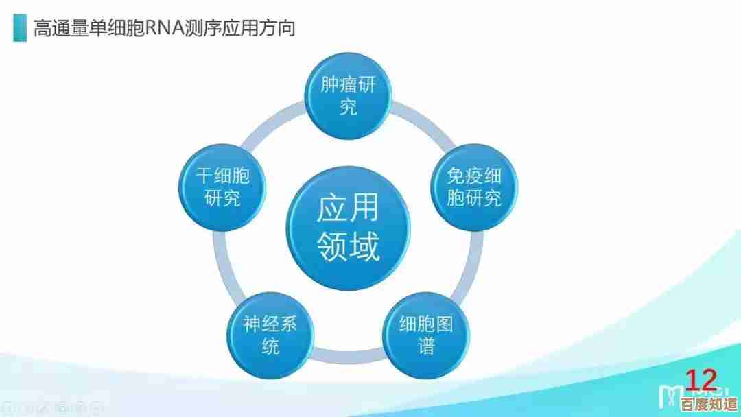 PPT究竟是什么？一篇文章带你轻松理解其核心概念