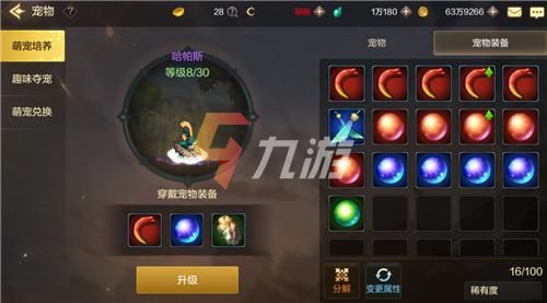 地下城与勇士神器宠物哪个好到底看职业和玩法再说吧