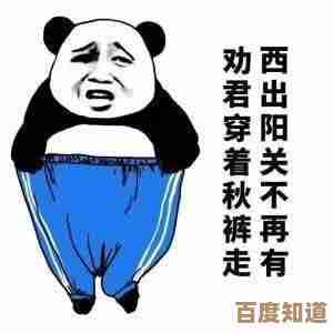 要雪光金属不想花钱，有没有稳妥又省时的挂机点和拆解方法