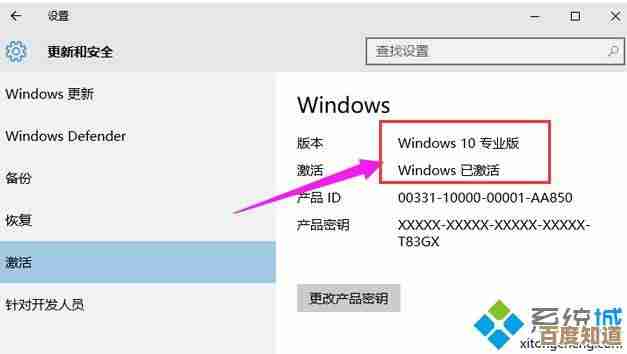 掌握Windows 10专业版永久激活密钥的正确使用步骤与技巧