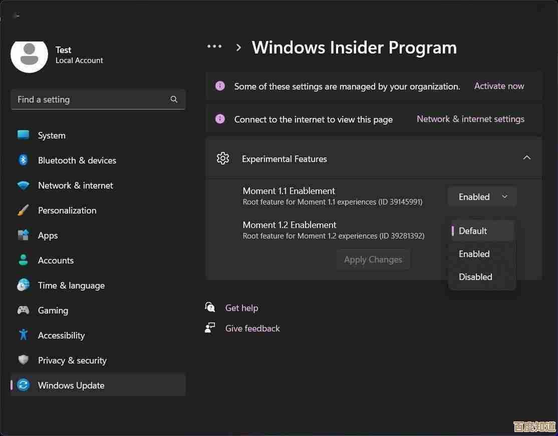 微软Win11频道新规：特定频道用户优先体验最新操作系统更新！