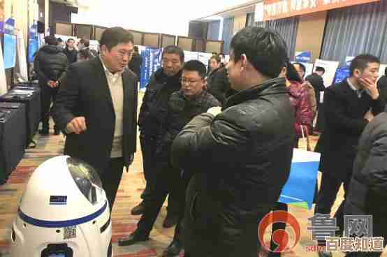 解决Windows 11有线网络连接后无法访问互联网的实用方法