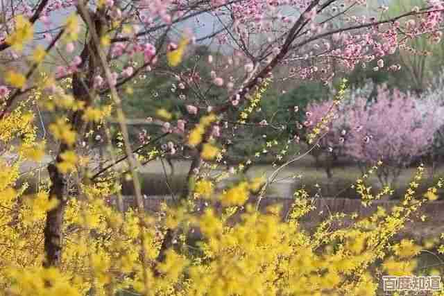 香桃花海免费拿?和平精英》里原来还有这几条门路 香桃花海免费拿?和平精英》里原来还有这几条门路