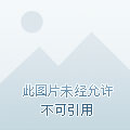 开启QQ农场之旅，亲手打造属于你的梦幻庄园与丰收乐园！