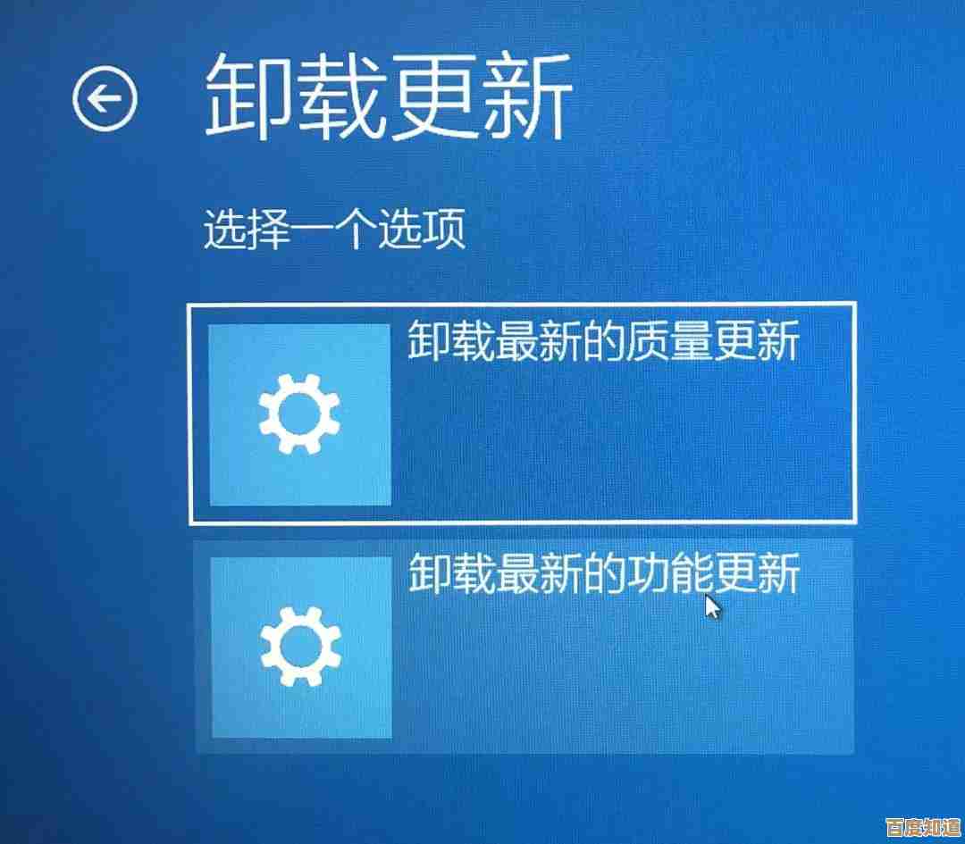 掌握Windows 11系统操作要点：新用户必读实用指南