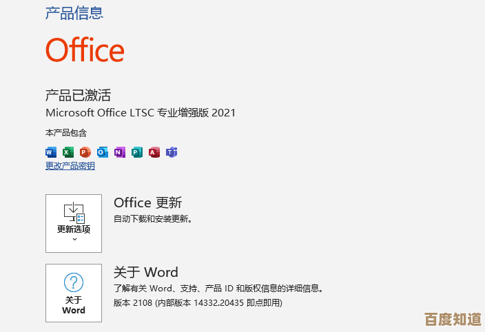 深入解析Word作为Office核心组件的启动与操作实践