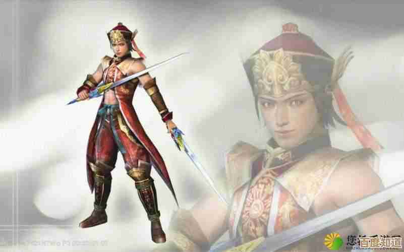 真三国无双起源里双突武艺效果究竟咋提升啊,求思路