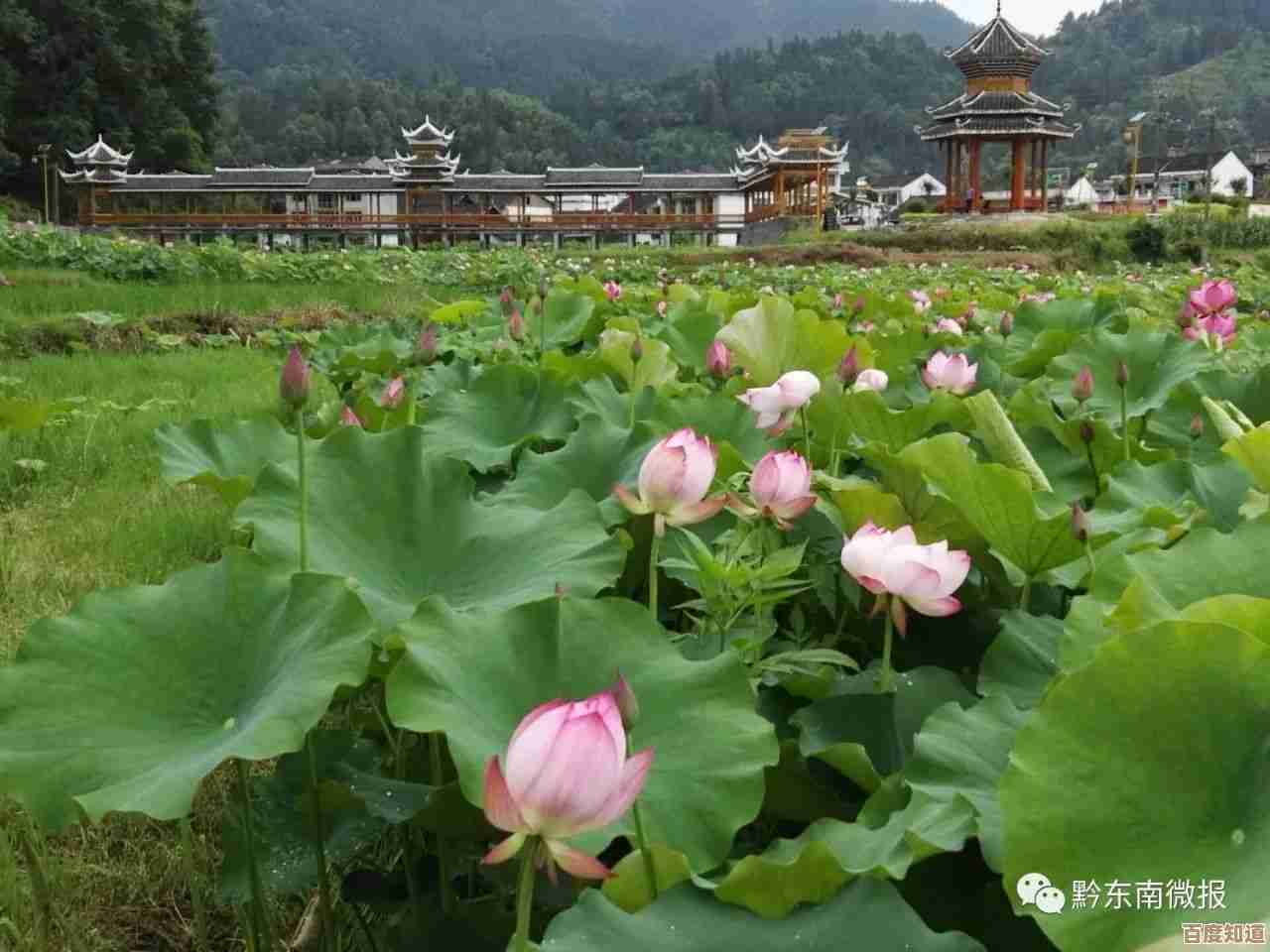 桌面背景设计技巧:打造高效工作环境与提升日常幸福感 桌面背景设计技巧:打造高效工作环境与提升日常幸福感