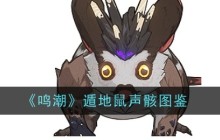 鸣潮里那些cost1声骸都长啥样,直接图文速览随意看 鸣潮里那些cost1声骸都长啥样,直接图文速览随意看