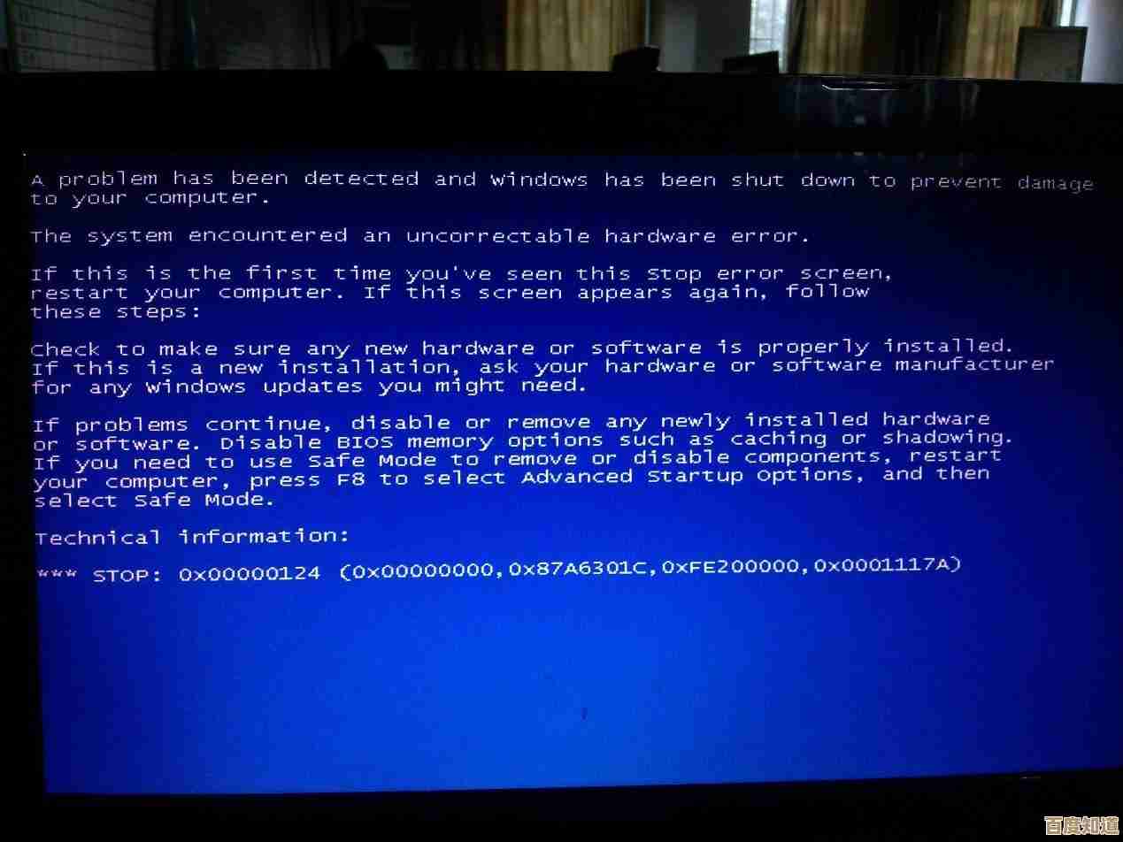 Win11重装系统蓝屏故障排除:关键解决策略与操作流程详解