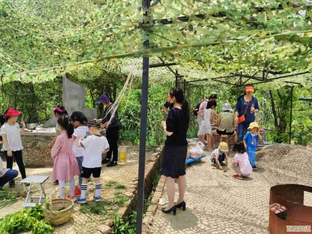 炒菜游戏排行榜里那些又治愈又带挑战的,哪几个值得天天开吃吧