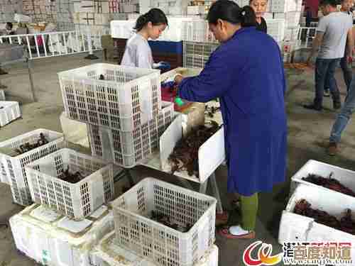探索QQ游戏大厅的精彩世界,多款热门游戏让你畅玩不停歇!