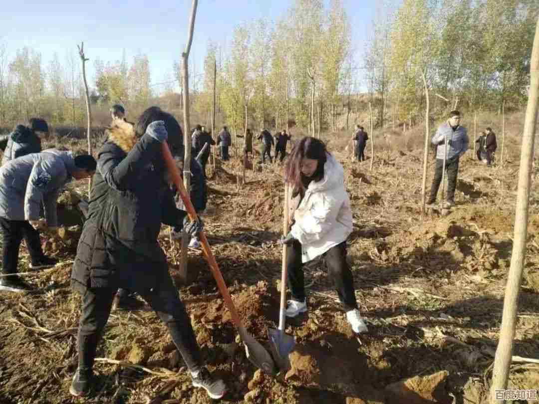 心动小镇里高山长角天牛都在哪儿,位置和刷新天气那些零碎事儿