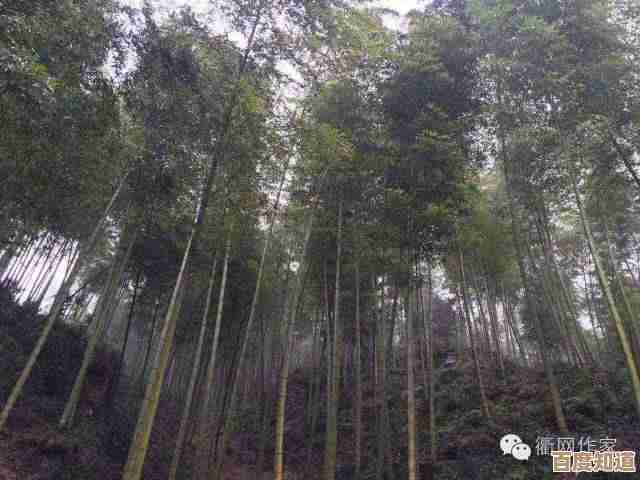 太平值提升路线和全区域奖励解析,真三国无双起源玩着别走弯路. 太平值提升路线和全区域奖励解析,真三国无双起源玩着别走弯路.