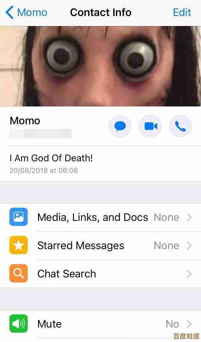 momo是什么意思?深入解读这一词汇的文化与网络渊源