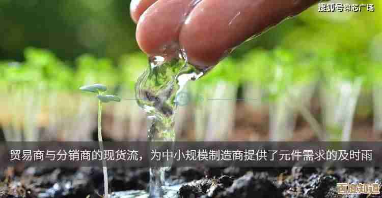 晚安森林里那些异类植物怎么种,零散心得和别人的奇招汇总,适合懒人也能上手