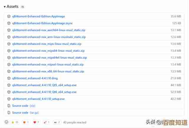 便捷高效的BT下载工具,让您快速获取所需资源无忧!