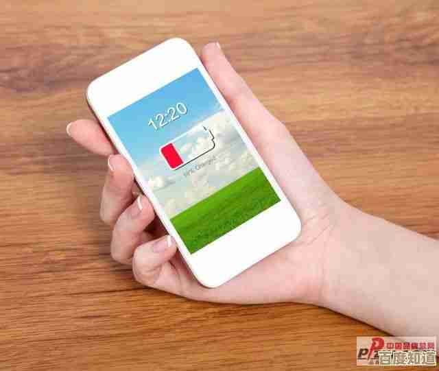 手机助手：连接世界，轻松处理一切，让生活尽在掌握中