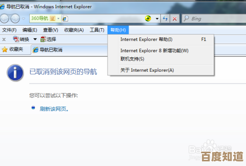 IE浏览器版本查看技巧大全：一步步教您准确识别与验证