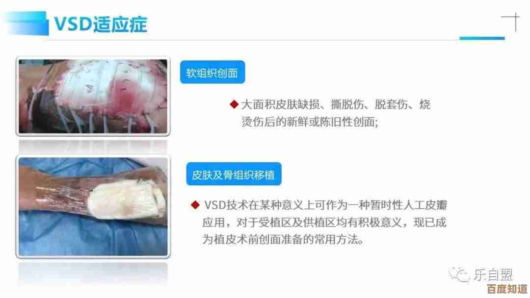 详解VSD文件打开方式,小鱼为您提供多种解决方案