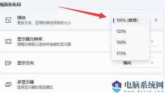 如何个性化调节Win11系统图标大小与显示样式