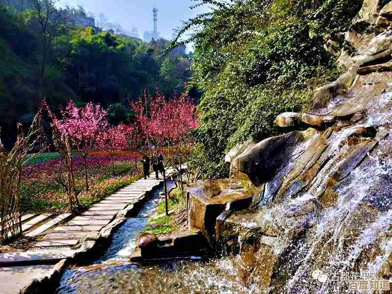 Win11系统重装详细教程：一步步教你轻松完成电脑重装