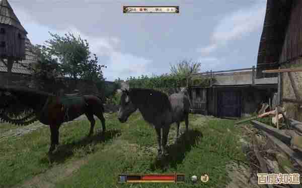 天国拯救2马匹黑市位置说下,带你碰碰奇怪卖家