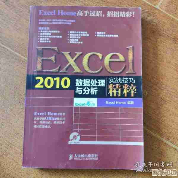 Excel 2010高效操作技巧与实用案例深度解析