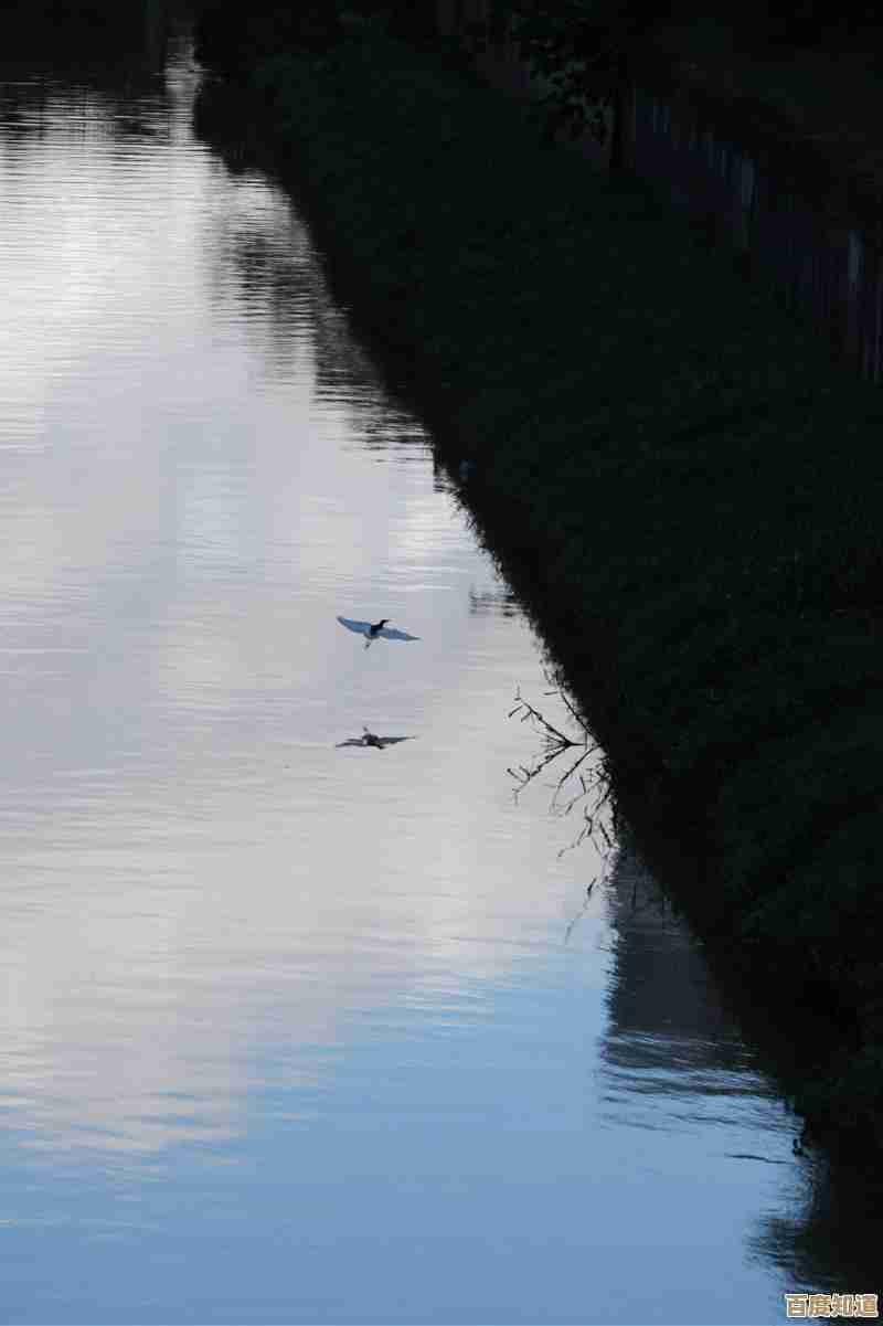 彩虹棉花糖小店那些老玩家常遇到的疑问和小窍门